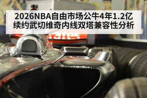 2026NBA自由市场公牛4年1.2亿续约武切维奇内线双塔兼容性分析