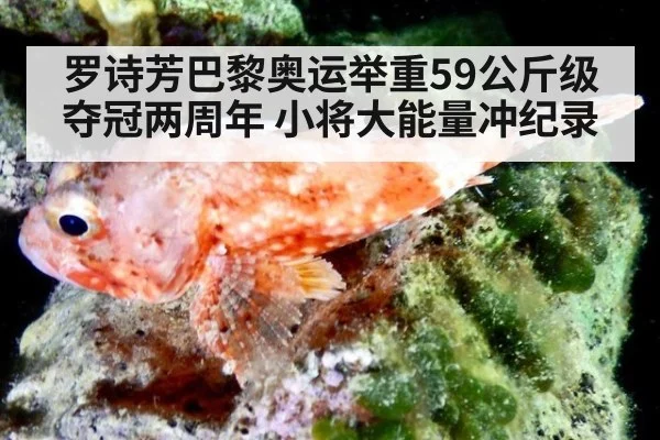 罗诗芳巴黎奥运举重59公斤级夺冠两周年 小将大能量冲纪录
